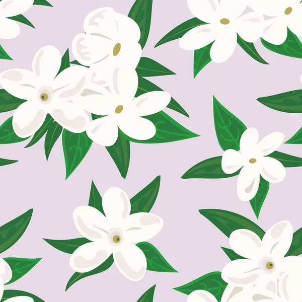 Weiße Jasminblüte. Zweig von Jasminblüten isoliert auf weißem Hintergrund. Frühlingsblumen — Stockvektor