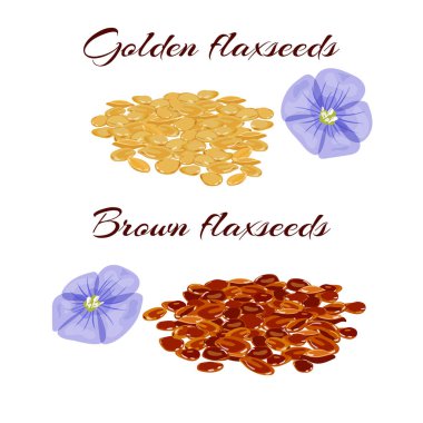 Flaxseeds ve mor keten çiçek.