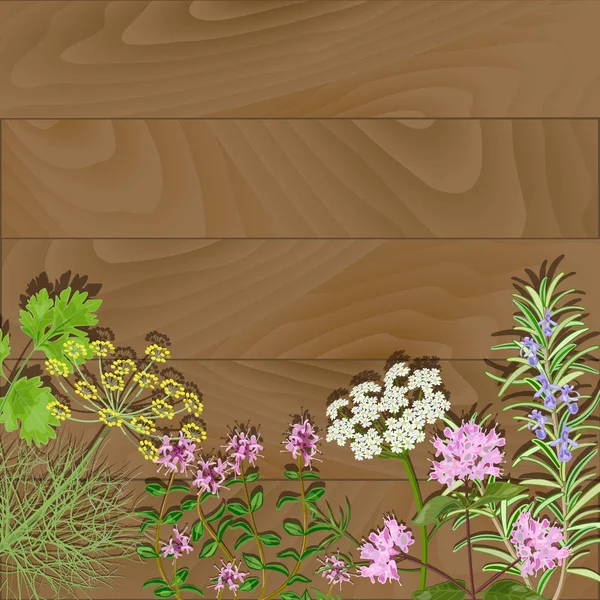 Hierbas florecientes sobre fondo de madera . — Vector de stock
