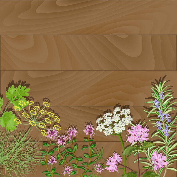 Flowering herbs on wooden background.
