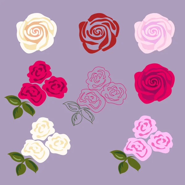 Set of rose flowers. — Stock Vector