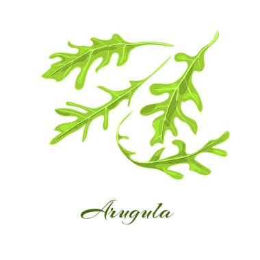 Rucola veya roka ot. 