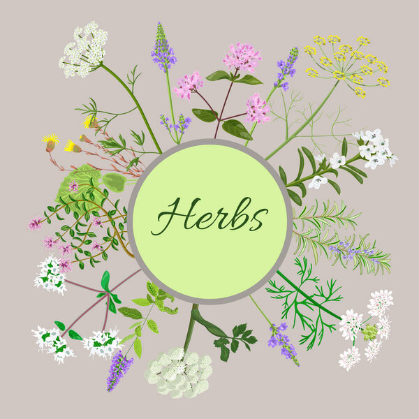 Vector card with herbal flowers.