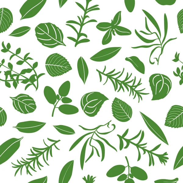 Herbes de Provence conjunto de vectores de patrón sin costura — Vector de stock