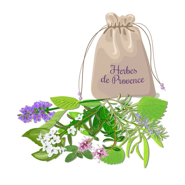 Herbes de provence sachet — 스톡 벡터