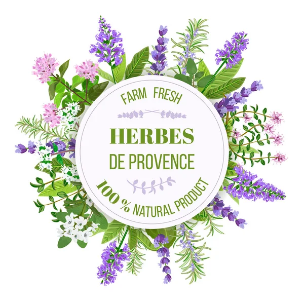 Herbes de Provence. Thym, Sarriette, Romarin — Image vectorielle