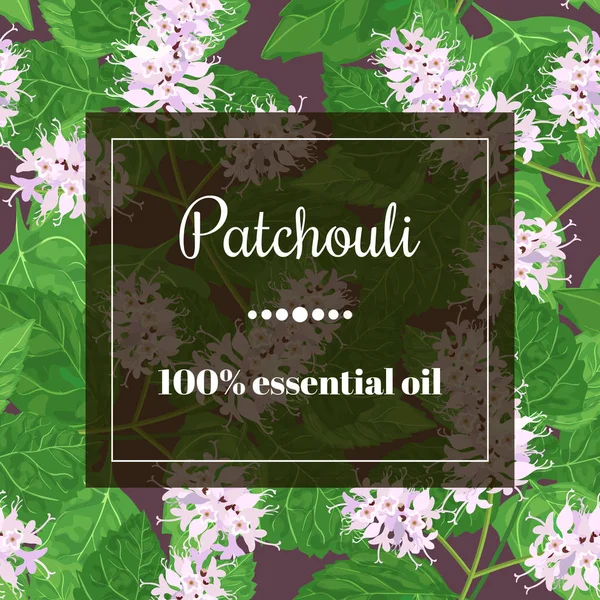 Óleo essencial de patchouli — Vetor de Stock