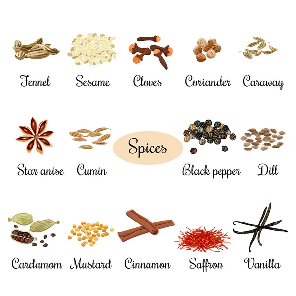 Conjunto de ícones com títulos de especiarias culinárias populares — Vetor de Stock