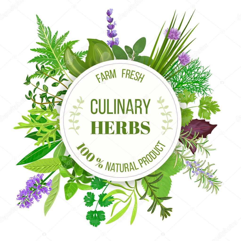 Culinary herbs round emblem