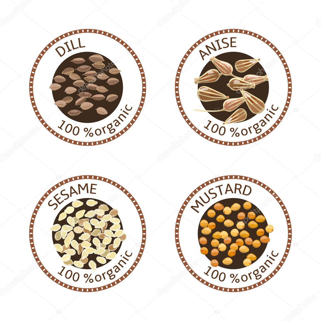 Set of herbs labels. 100 organic. Spice collection. Vector illustration. Dill, sesame, anise mustard Brown stamps