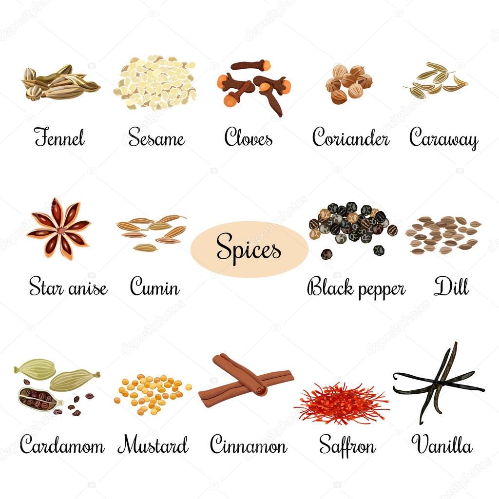 Icon set with titles of popular culinary spices