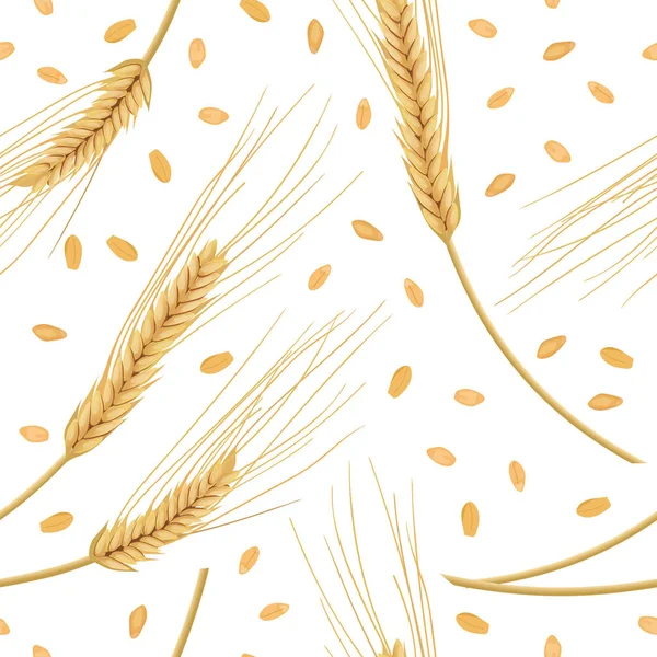 Wheat ears isolated on white background. seamless pattern vector. Golden spike and grains — Stock Vector