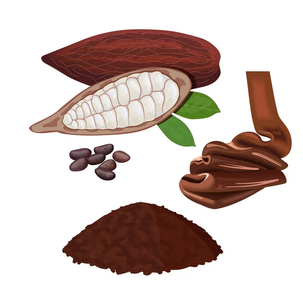 Cacao fresco maduro. Hojas de vaina de cacao y frijoles. Chocolate y polvo — Vector de stock