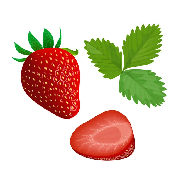 Reife saftige Erdbeere mit Blatt isoliert auf weiß. ganz und in Scheiben schneiden — Stockvektor