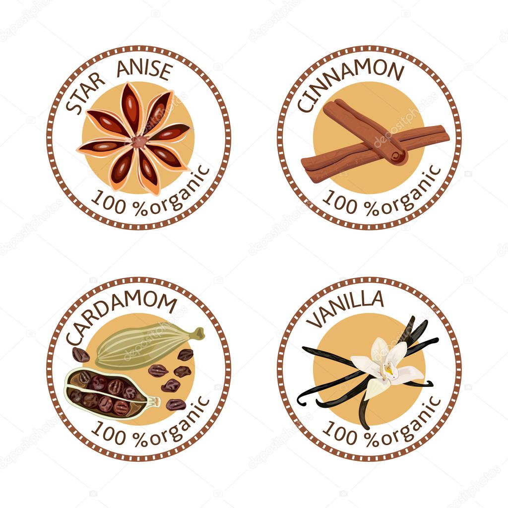 Set of herbs labels. 100 organic. Spice collection. Vector illustration. Vanilla flower and pods, cardamom, star anise, cinnamon. Brown stamps. cardamon Cardamum