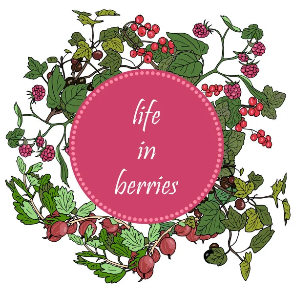 一整套花园浆果和绿色树枝圈徽章，黑莓，树莓，红醋栗，醋栗. — 图库矢量图片
