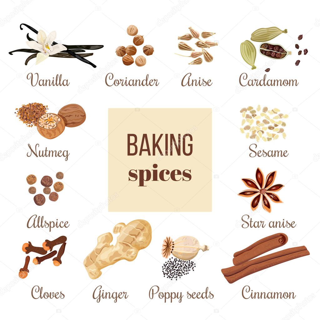 Backing spices big set with square label. Bunch of cooking seasonings. For culinary, cosmetics, bakery, bake shop, bakehouse, natural health care products. Can be used as logo design, price tag, label