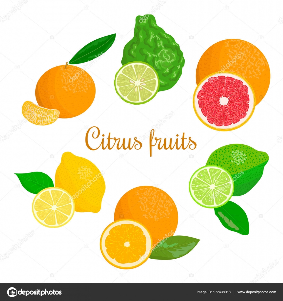 Citrus Set