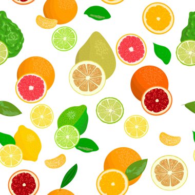 Taze narenciye ayarlayın. Bergamot esansı, limon, greyfurt, limon, mandalina, pomelo, portakal, kan portakal dilimleri ile
