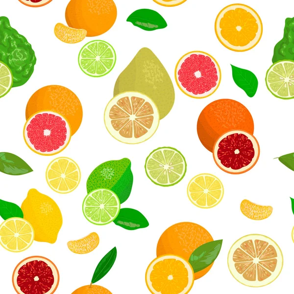 Taze narenciye ayarlayın. Bergamot esansı, limon, greyfurt, limon, mandalina, pomelo, portakal, kan portakal dilimleri ile