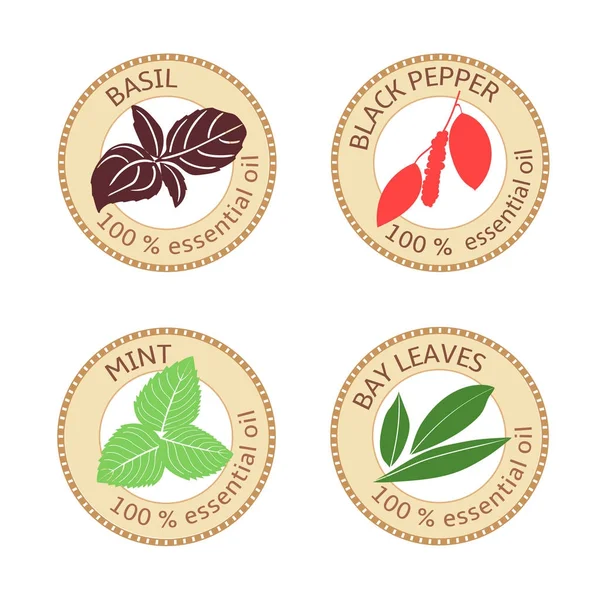 Set de etiquetas planas de aceite esencial. 100 por ciento. Hojas de laurel, albahaca, pimienta negra, menta — Vector de stock