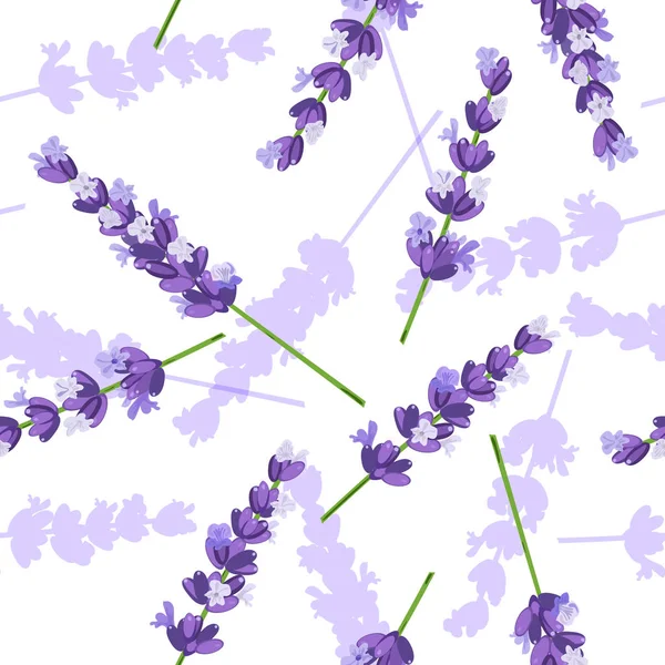 Lavendelblüten Vektor nahtloses Muster — Stockvektor