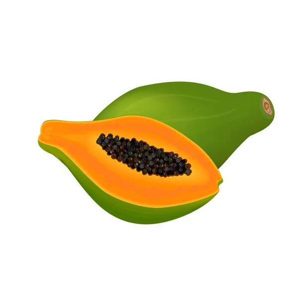 Papaya fresh, slices and whole fruit on white background — Stock Vector
