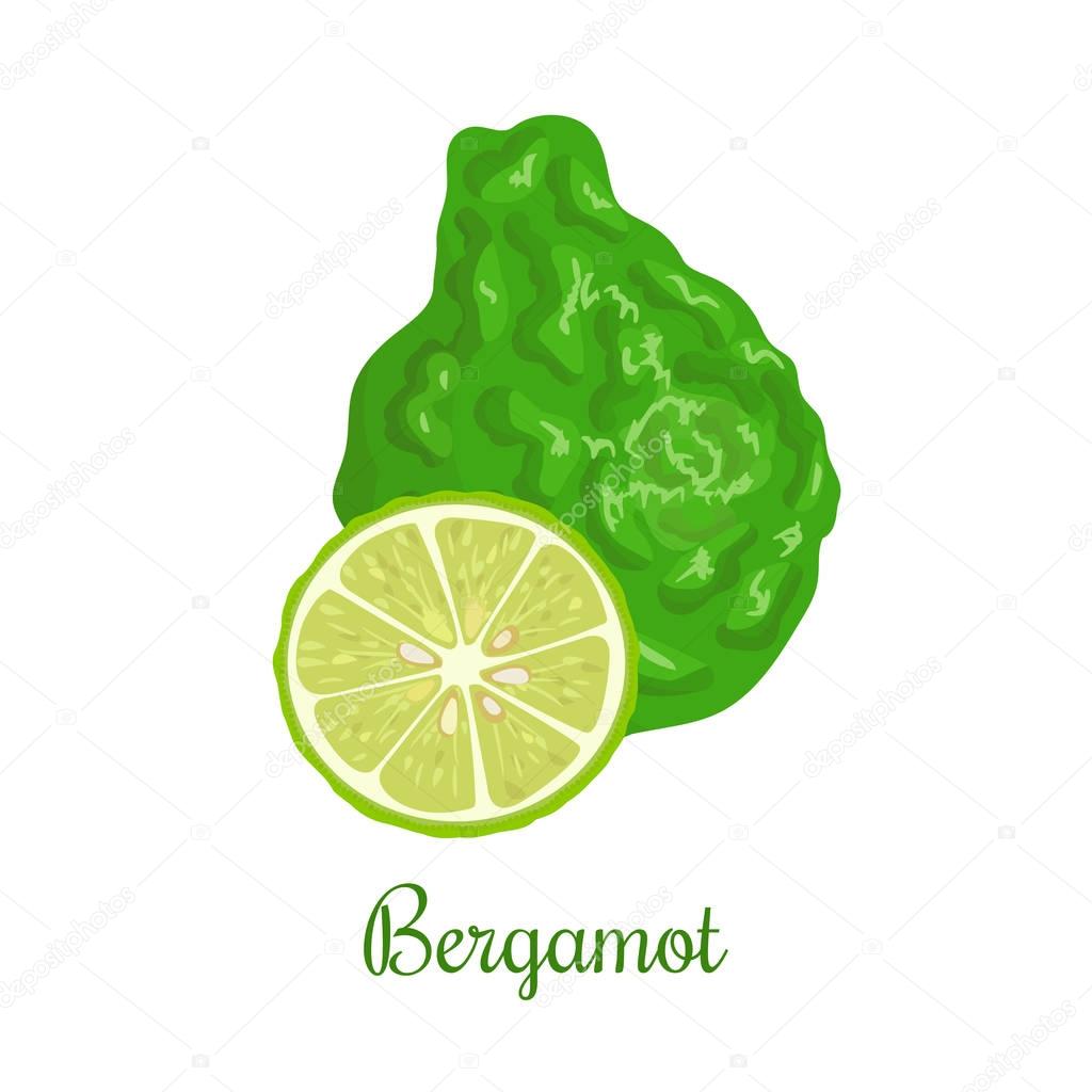 Fresh bergamot or Citrus bergamia. Whole and half. Organic food. Design for essential oil, natural cosmetics, health care products, aromatherapy, homeopathy. For prints, poster, logo, price tag label