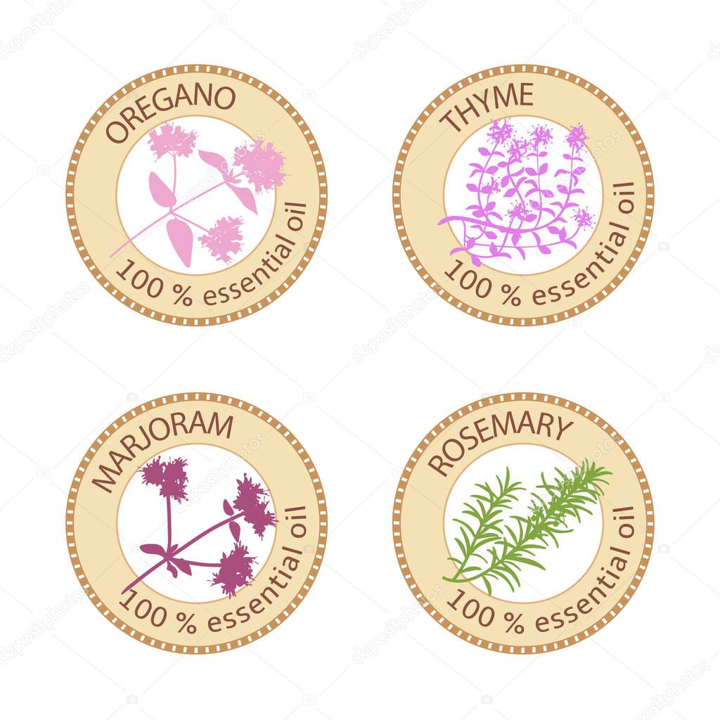 Set of flat essential oil labels. Oregano, Thyme, marjoram, rosemary. Logo collection. Vector illustration. Brown stamps, bright silhouettes. For stickers, price tags advertising banners poster