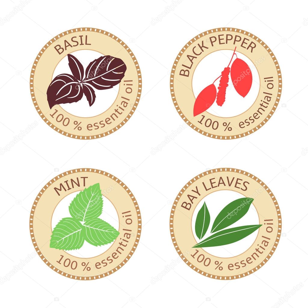 Set of flat essential oil labels. Bay leaves, basil, black pepper, mint. Logo collection. Vector illustration. Brown stamps, bright silhouettes. For stickers price tags advertising banners, poster