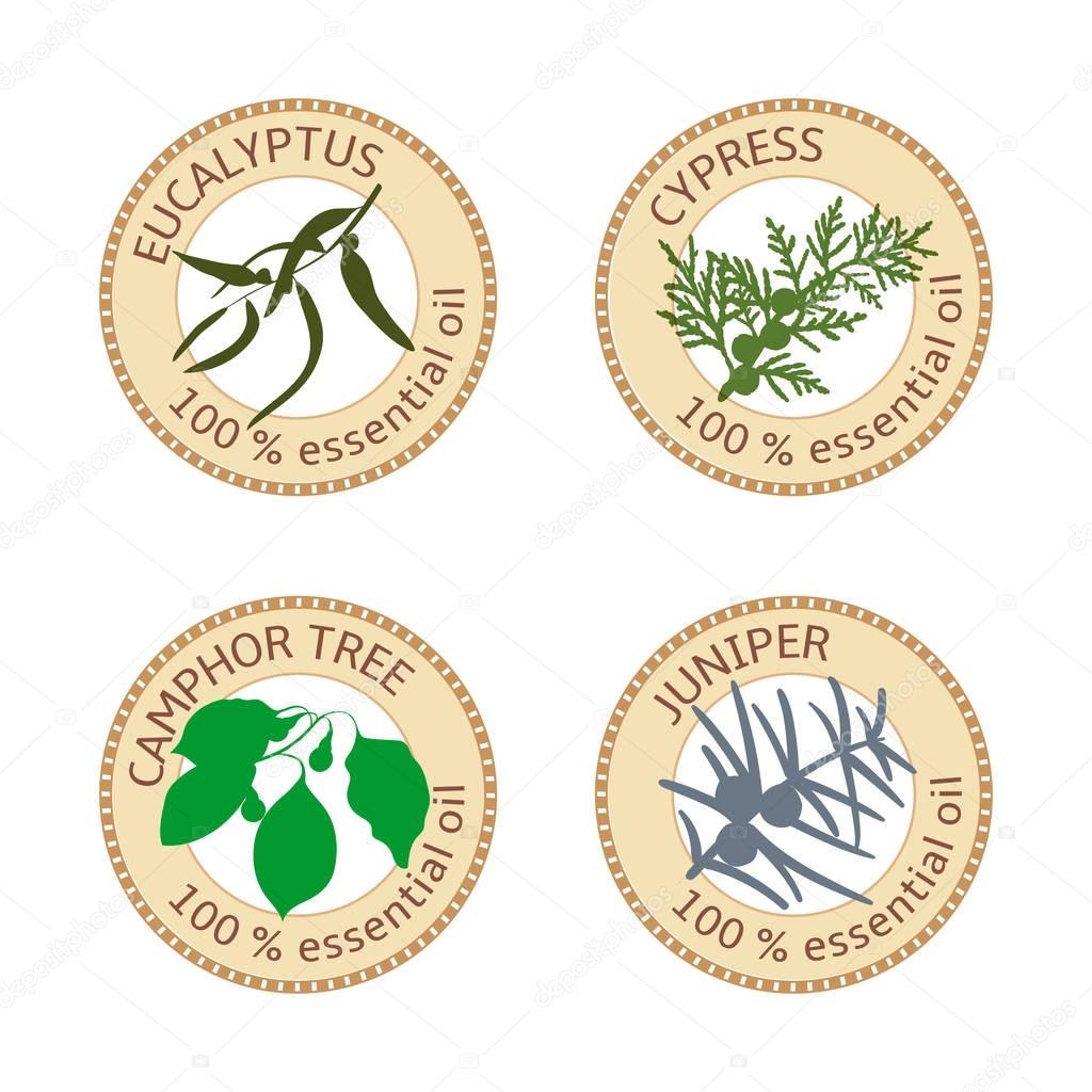 Set of flat essential oil labels. Eucalyptus, cypress, camphor tree, juniper. Logo collection. Vector illustration. Brown stamps, bright silhouettes. For stickers, tags advertising banners poster