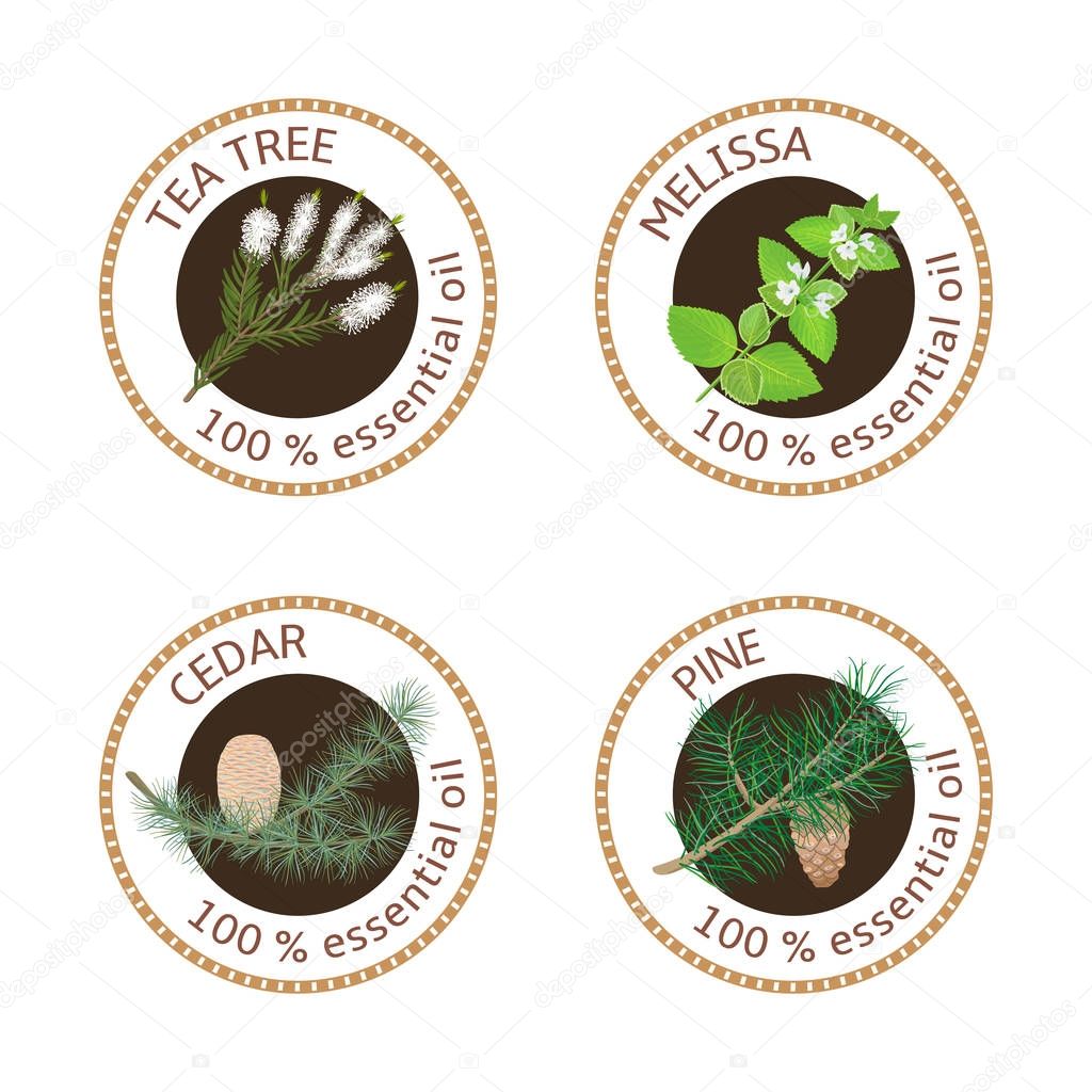 Set of essential oils labels. Pine tree, Cedar, Tea tree, melissa