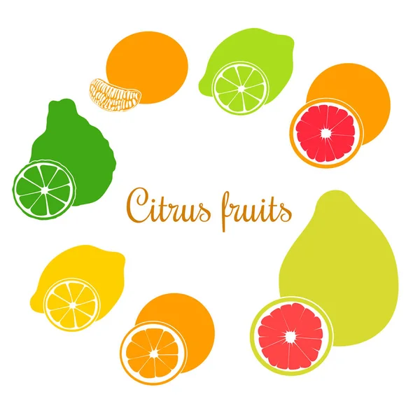 Čerstvé Citrusové sady. Plochá oranžová, citronu, limetky, bergamotu, mandarinky, pomela a grapefruity s plátky — Stockový vektor