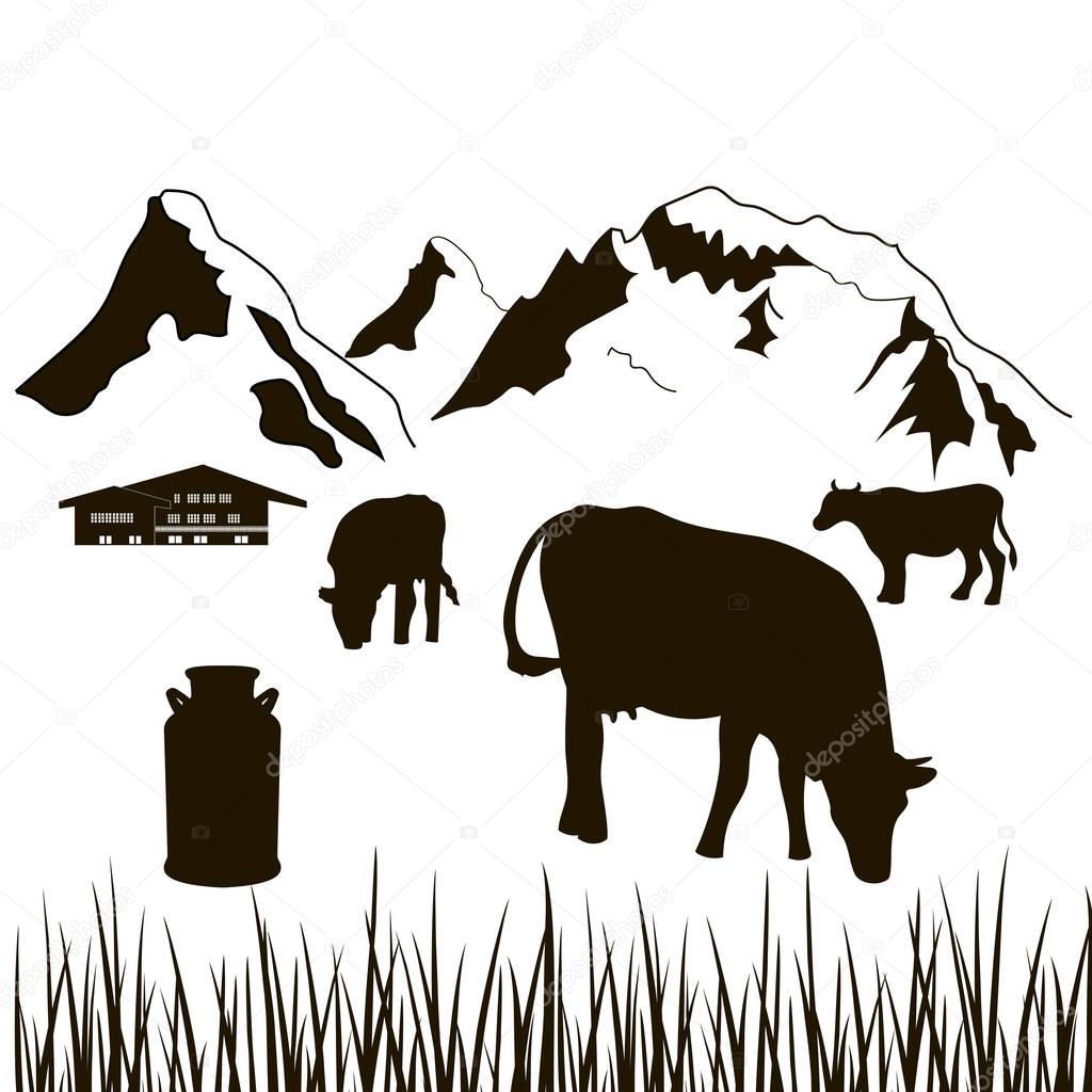 cows,milk can, house on a mountains background
