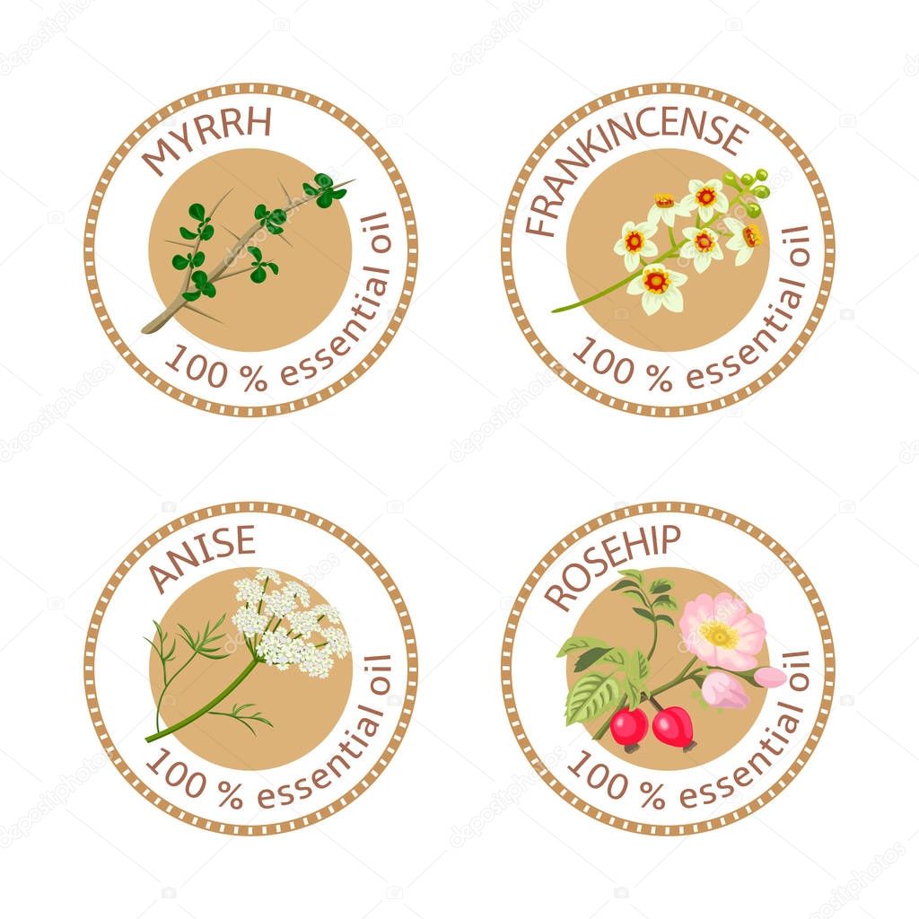 Set of essential oils labels. Myrrh, frankincense, anise, rosehip