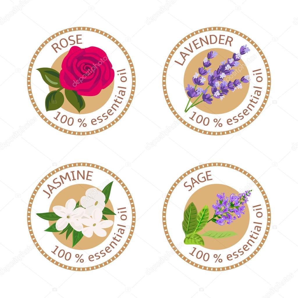 Set of essential oils labels. Rose, Sage, Lavender, jasmine