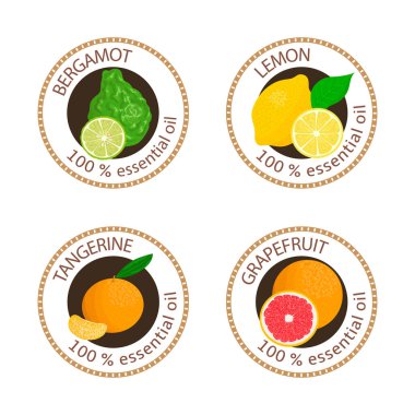 Uçucu yağlar etiket kümesi. Bergamot esansı, limon, greyfurt, mandalina
