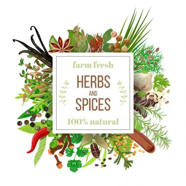 büyük set mutfak otlar ve baharatlar bey amblemi altında
