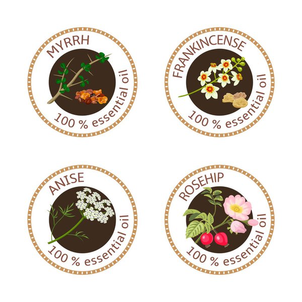 Set of essential oils labels. Myrrh, anise, rosehip, frankincense