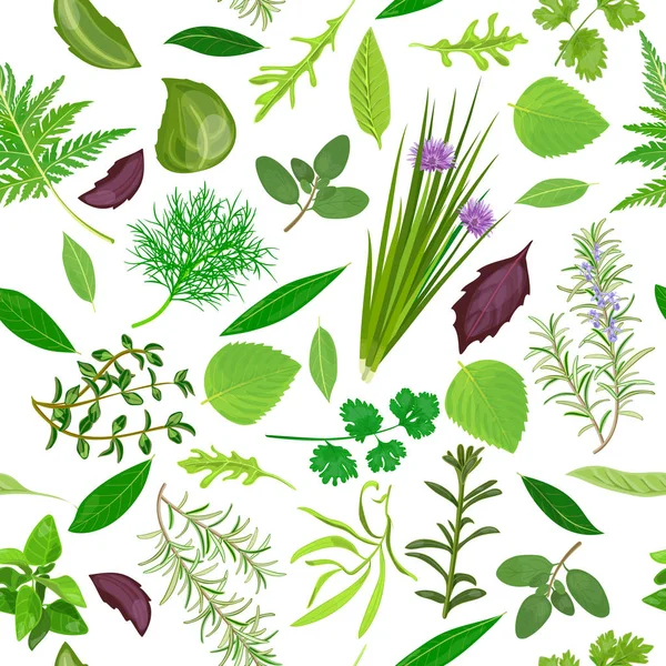 Cooking herbs seamless pattern vector set — Stock Vector