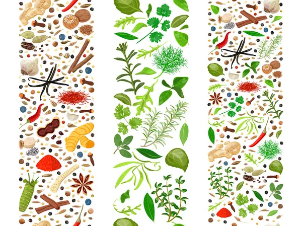 Herbes et épices culinaires organisées en trois rubans — Image vectorielle