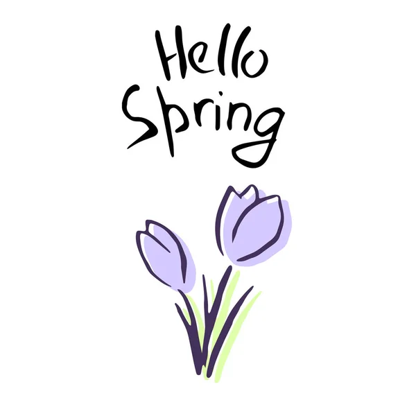 Hello Spring belettering. Schattig lila bloemen. schets. krokus — Stockvector