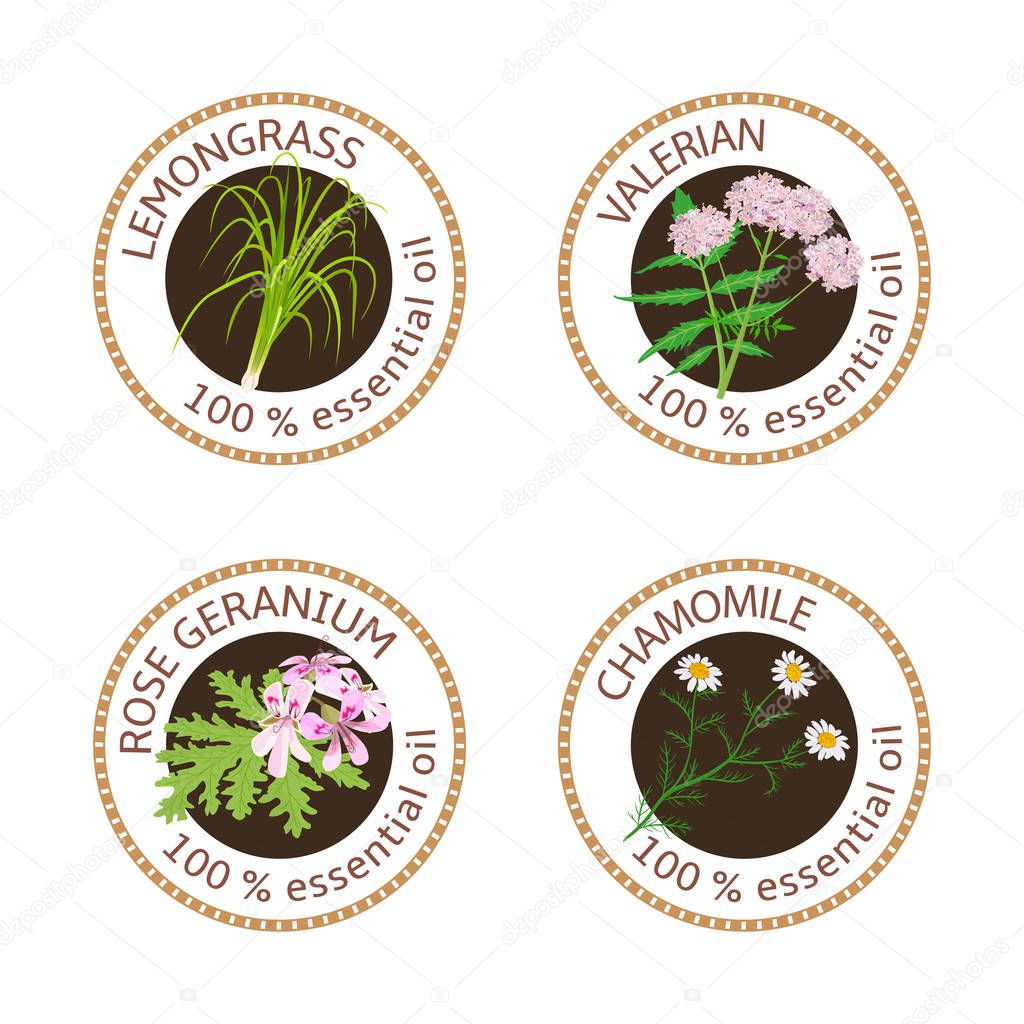 Set of 100 essential oils labels. Rose Geranium, lemongrass, Chamomile, Valerian symbols. Logo collection. Vector illustration. Brown stamps, realistic. For cosmetics spa health care aromatherapy