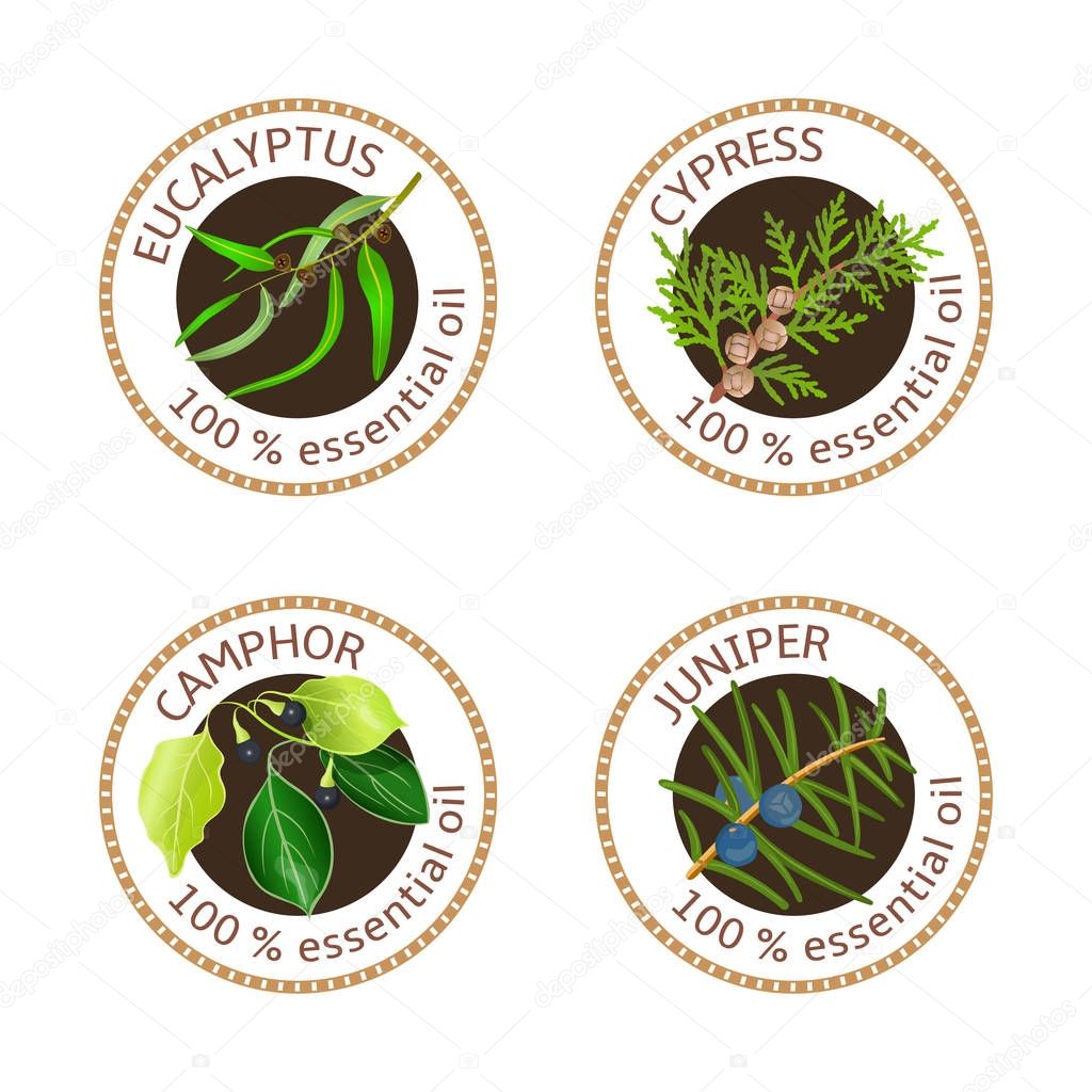 Set of 100 essential oils labels. Eucalyptus, cypress, camphor tree, juniper symbols. Logo collection. Vector illustration. Brown stamps, realistic. For cosmetics, spa health care aromatherapy tags