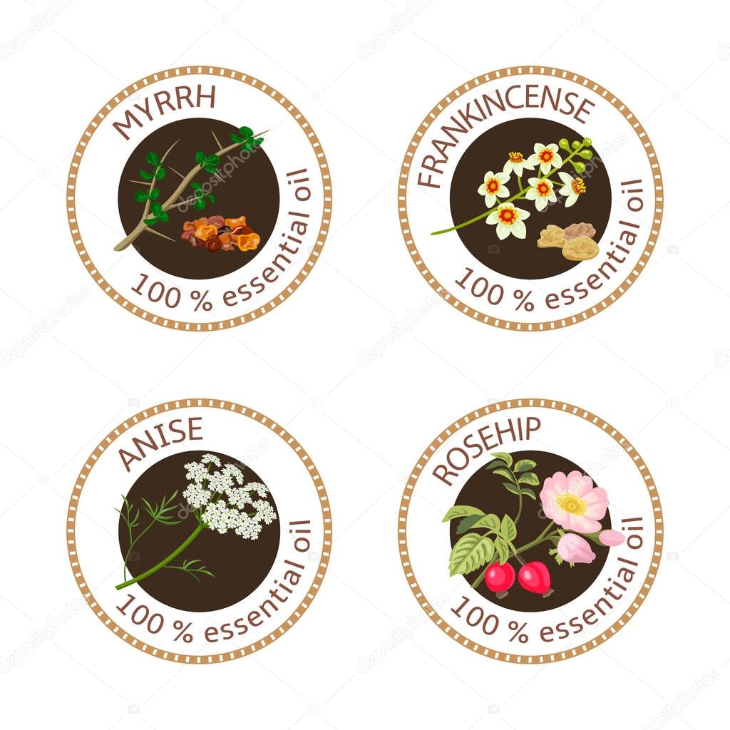 Set of 100 essential oils labels. Myrrh, anise, rosehip, frankincense symbols. Logo collection. Vector illustration. Brown stamps, realistic. For cosmetics spa health care aromatherapy cosmetics