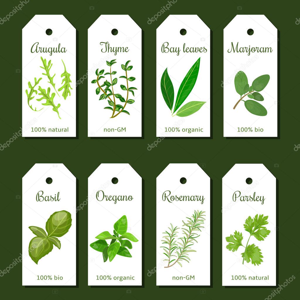 Cooking herbs tags. Cute label set
