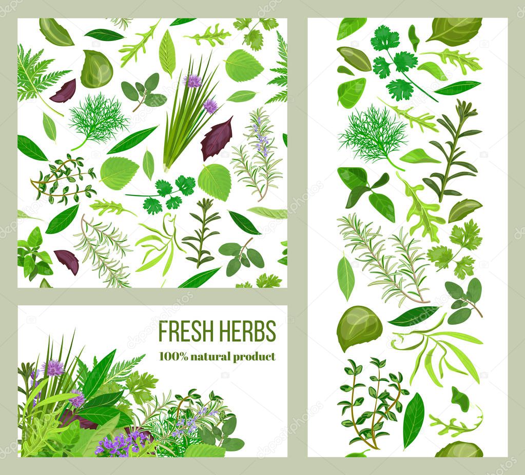 Realistic popular culinary herbs. Labels set. Shop sign. Stripes and cards