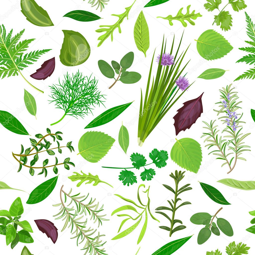 Cooking herbs seamless pattern vector set