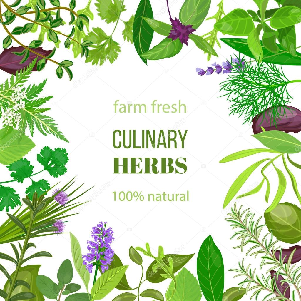 Culinary herbs ornament with text farm fresh