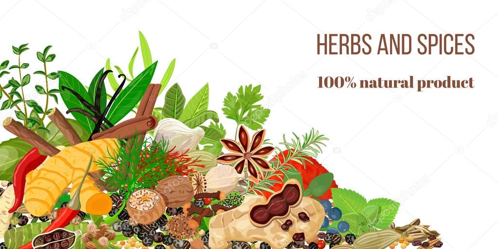 Card with Pile of Realistic popular culinary herbs and spices. Spice store logo. Shop sign